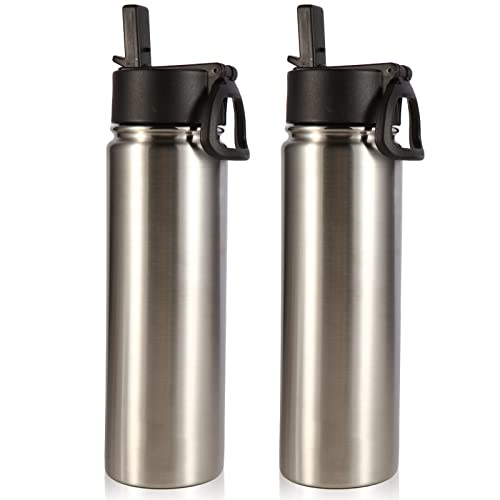 Insulated Water Bottles with Straw Bulk 2 Pack (2 Count)
