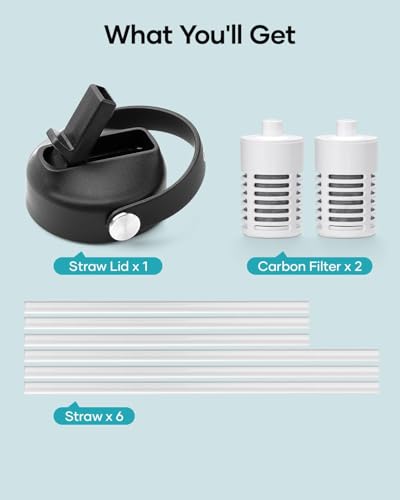 Water Bottle Filter Replacement with Straw Lid and Straws