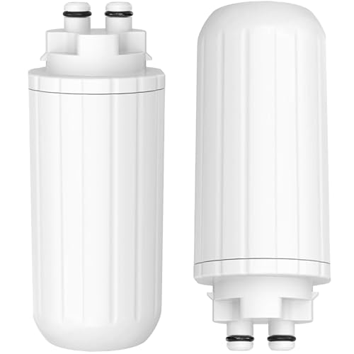 2 Pack Water Filter Replacement (2 Count)