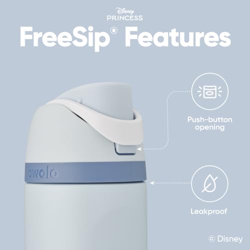 Princess FreeSip Stainless Steel Water Bottle 24 oz Cinderella