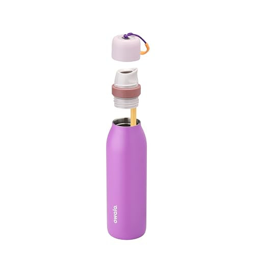 FreeSip Twist Stainless Steel Water Bottle 18 oz California Grapevine