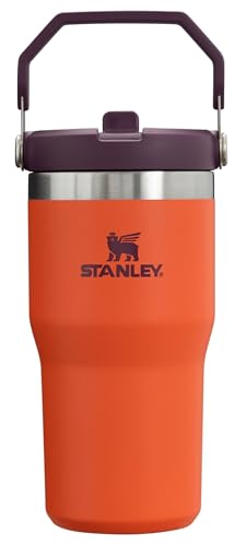 IceFlow Flip Straw Tumbler with Handle 20 oz