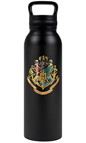 Harry Potter Vacuum Insulated Stainless Steel with Loop Cap