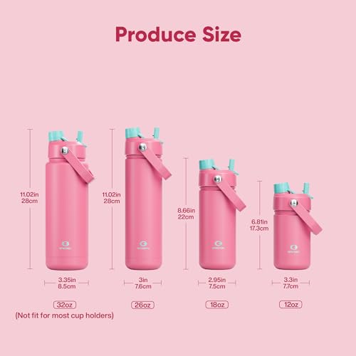 Insulated Water Bottle with Straw Stainless Steel Water Bottle
