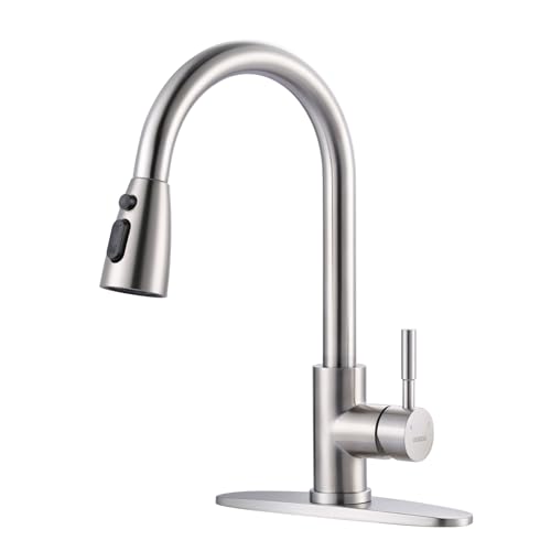 Kitchen Faucet with Sprayer