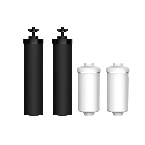 Black and Fluoride Water Filter (4 Count)