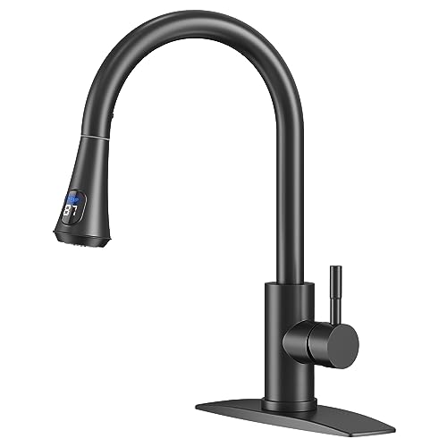 Kitchen Faucet with Temperature Digital Display