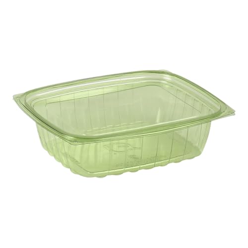 Compostable 24oz Rectangular Deli Containers With Lids (50 Count)
