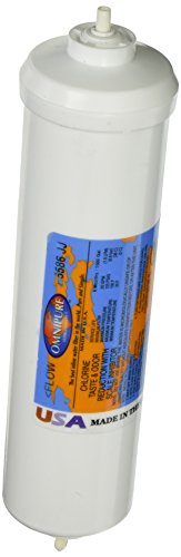 10" Scale Inhibitor & Carbon Filter w