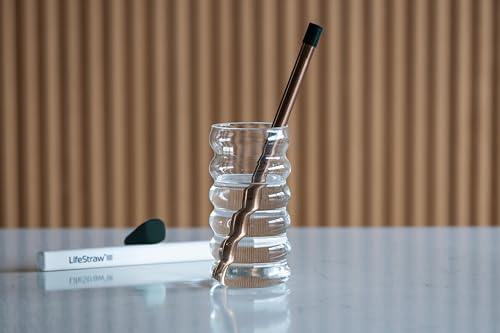 Sip Reusable Stainless Steel Water Filter Drinking Straw with 3 Carry Cases (3 Count)