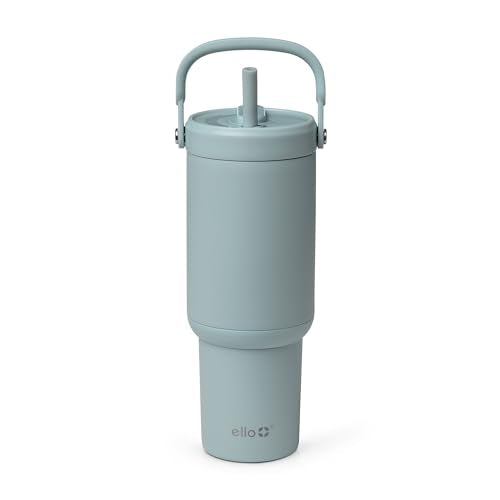 Oasis Go+ 26oz Insulated Stainless Steel Tumbler with Straw
