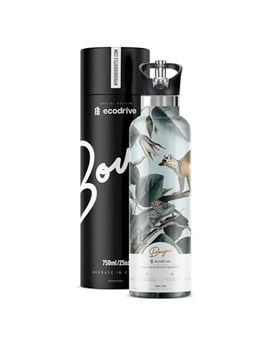 Ecodrive Insulated Water Bottle