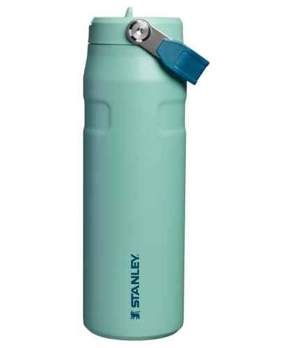 IceFlow Flip Straw 2.0 Bottle