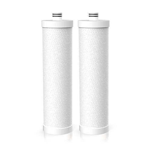 FZ 2 Replacement Filter Cartridge For MP99 (2 Count)