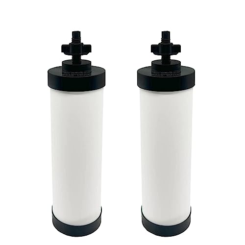 Upgraded】Virego Ceramic Filter Silver Infused (6000 Count)