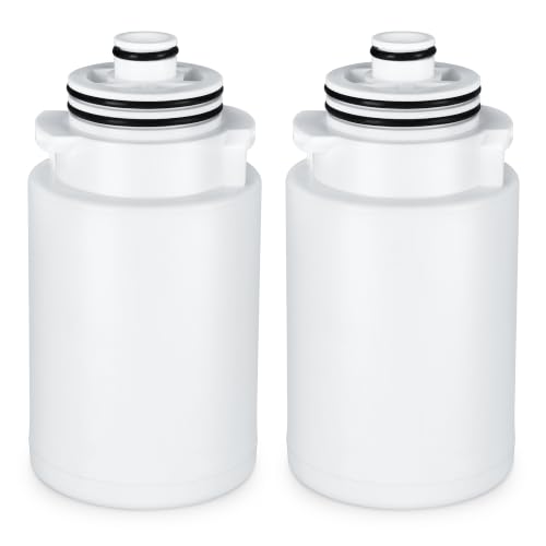 R24162 NA Showerhead Filter Replacement (2 Count)