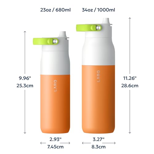 Swig Top Insulated Stainless Steel Water Bottle with Straw and Handle
