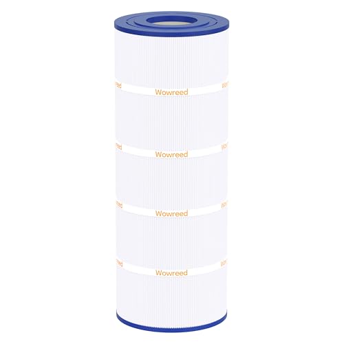 Pool Filter Compatible with C1200