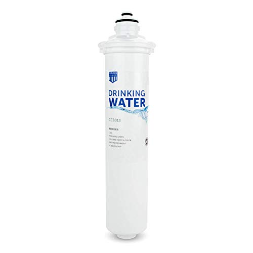 Drinking Water Filter for Everpure EV9270 (4 Count)