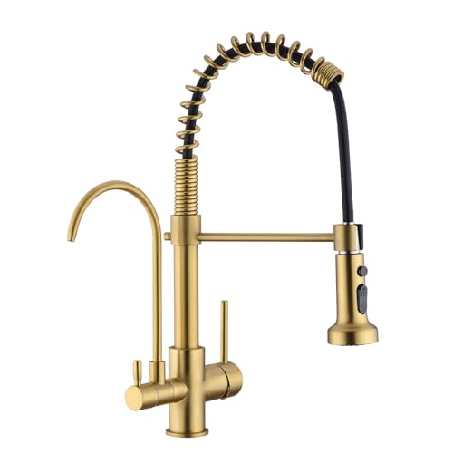 Commercial 3 in 1 Spring Brushed Gold Kitchen Faucet