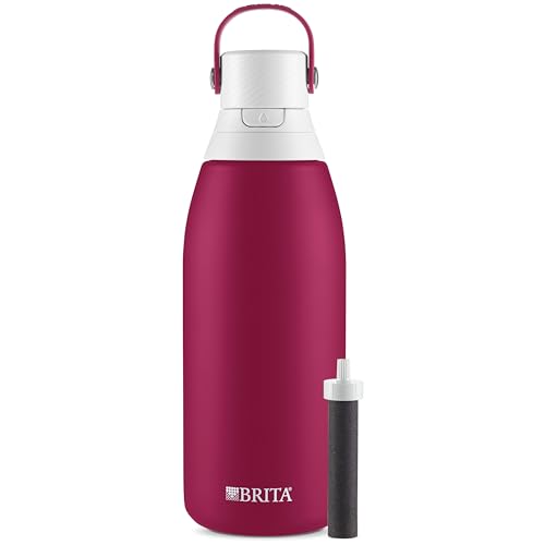 Insulated Filtered Water Bottle with Straw