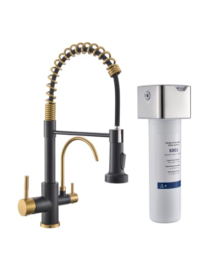 3 in 1 Kitchen Faucet with Pull Down Sprayer Black and Gold