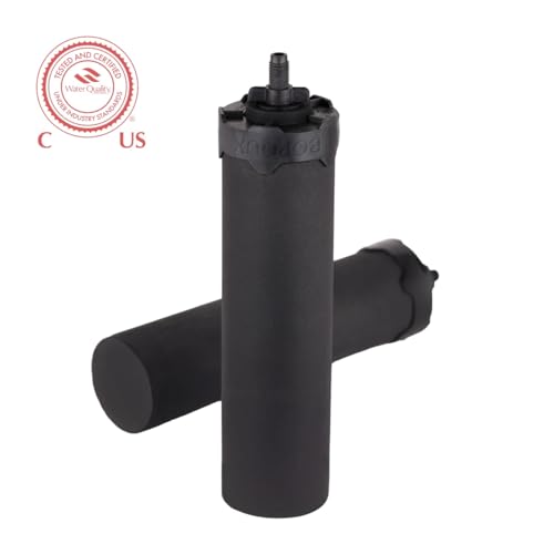 Foundation Black Replacement Water Filter