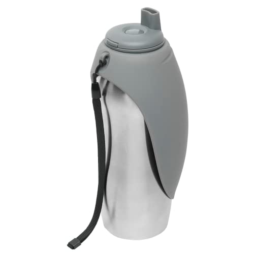 Travel Water Bottle