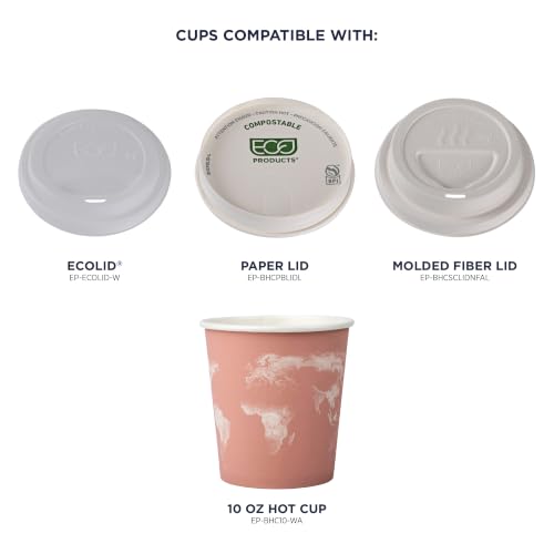 World Art Disposable Coffee Cups (50 Count)