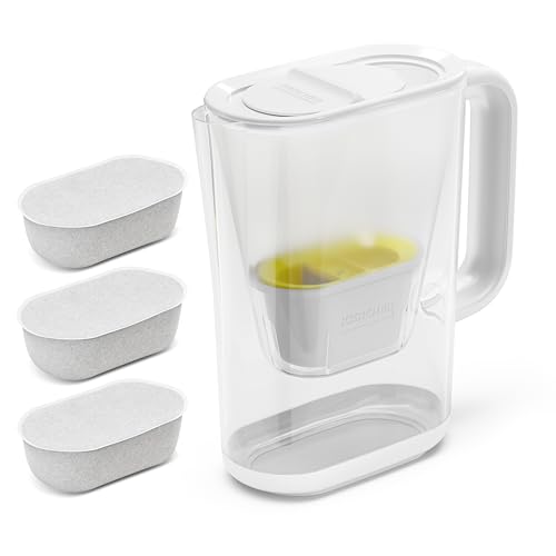 Karcher WFP 12 Filter Jug + 3 Filters
