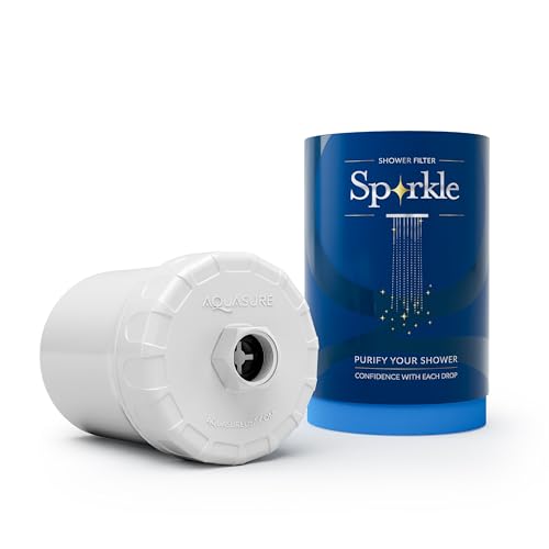 10 000 Gallons High Capacity Shower Filter For Healthier Hair