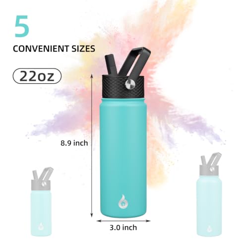 22oz Insulated Water Bottle with Straw Lid