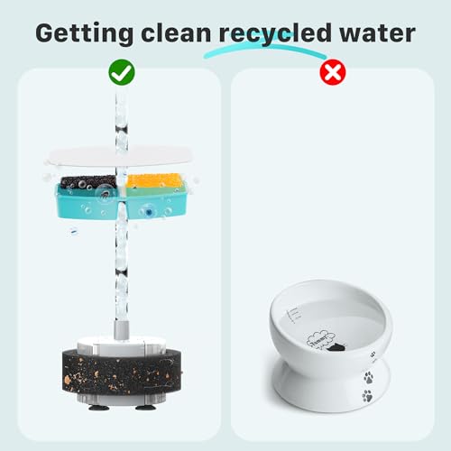 Cat Fountain Replacement Filters