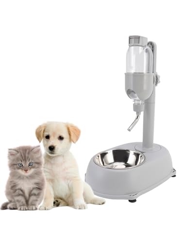 Pet Water Dispenser
