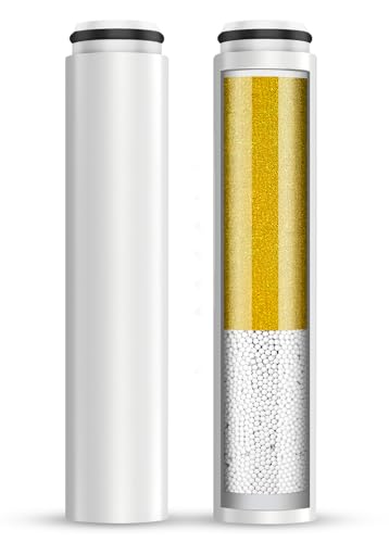 2 Pack Replacement Filters for Handheld Shower Head (2 Count)