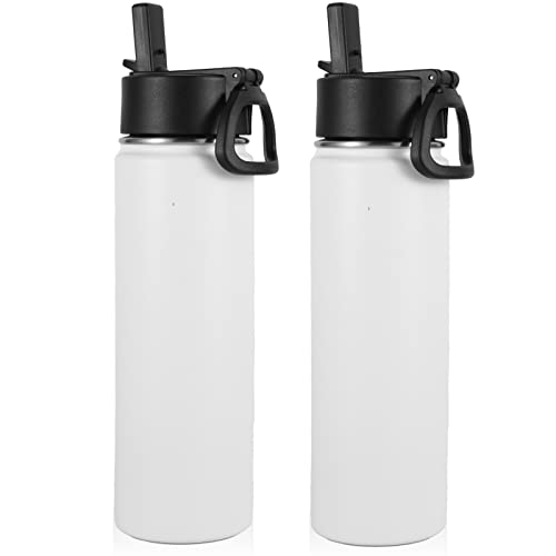 Insulated Water Bottles with Straw Bulk 2 Pack (2 Count)