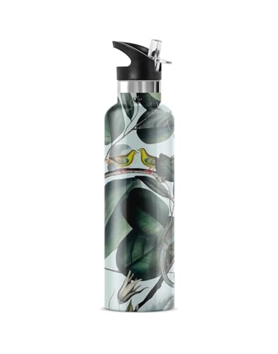 Ecodrive Insulated Water Bottle