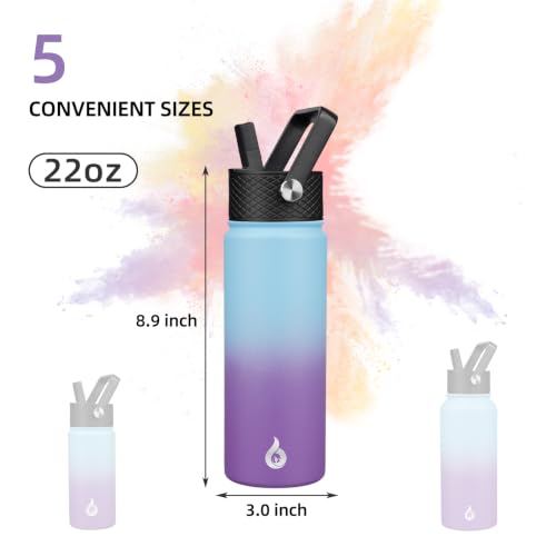 22oz Insulated Water Bottle with Straw Lid