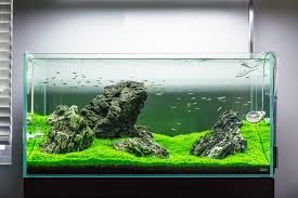 50 Power Filter
