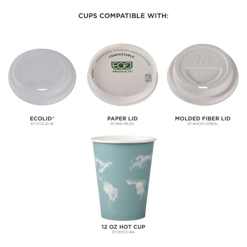 World Art Disposable Coffee Cups (50 Count)