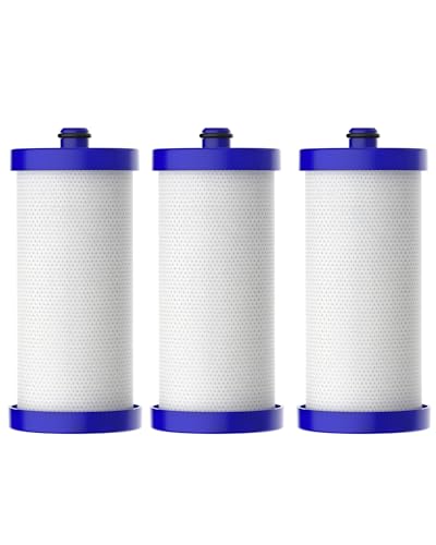 WF1CB Refrigerator Water Filter (3 Count)