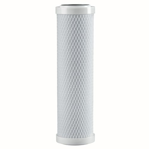 Watts Flow Pur 10" Carbon Block Filter POE12GHGACB 5 Micron Clean Liquid
