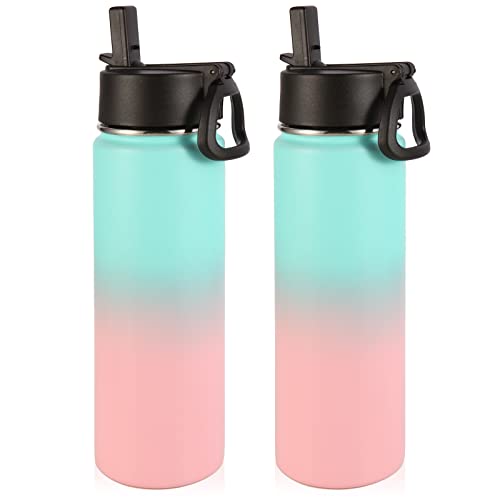 Insulated Water Bottles with Straw Bulk 2 Pack (2 Count)