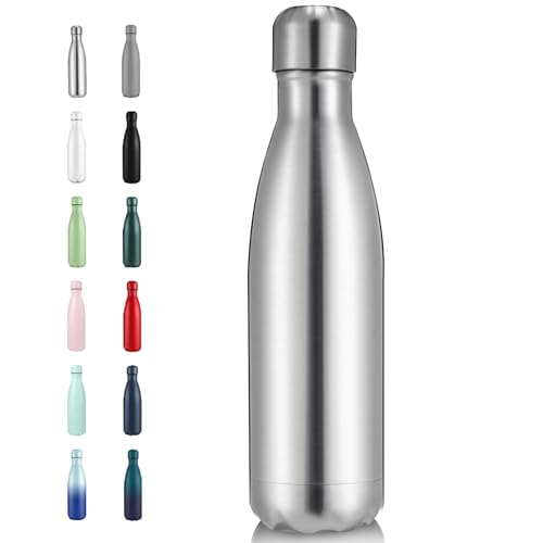 17oz Insulated Stainless Steel Water Bottle