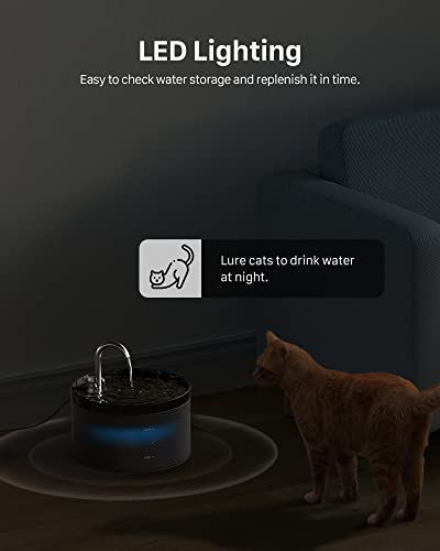 Cat Water Fountain