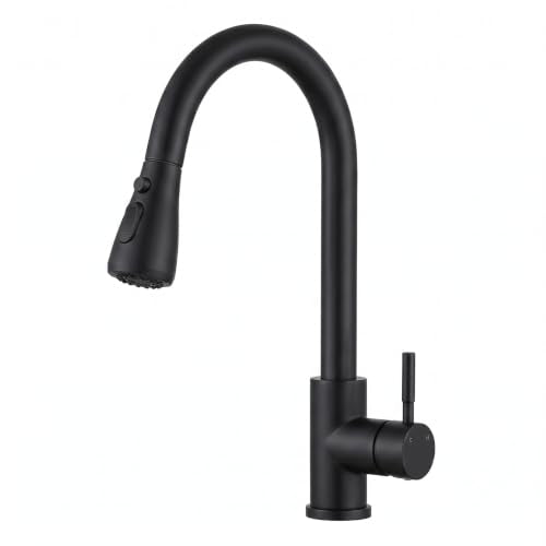 Black Kitchen Faucet with Pull Down Sprayer