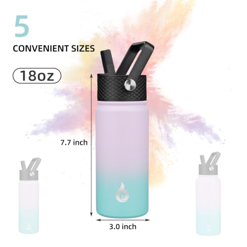 18oz Insulated Water Bottle with Straw Lid