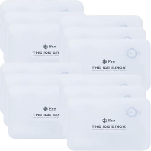 12 Pack Ice Brick (12 Count)