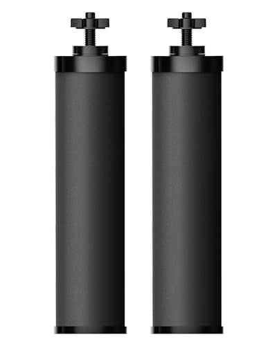 Gravity Water Filter (2 Count)
