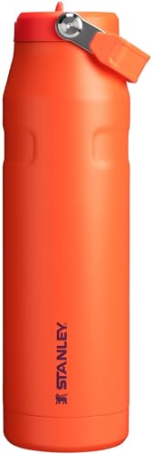 IceFlow Flip Straw 2.0 Bottle